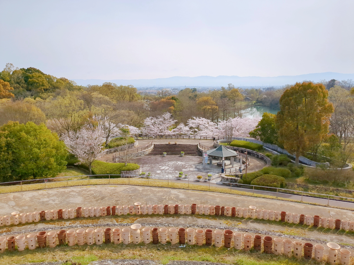 馬見丘陵公園　ナガレ山古墳から見た桜