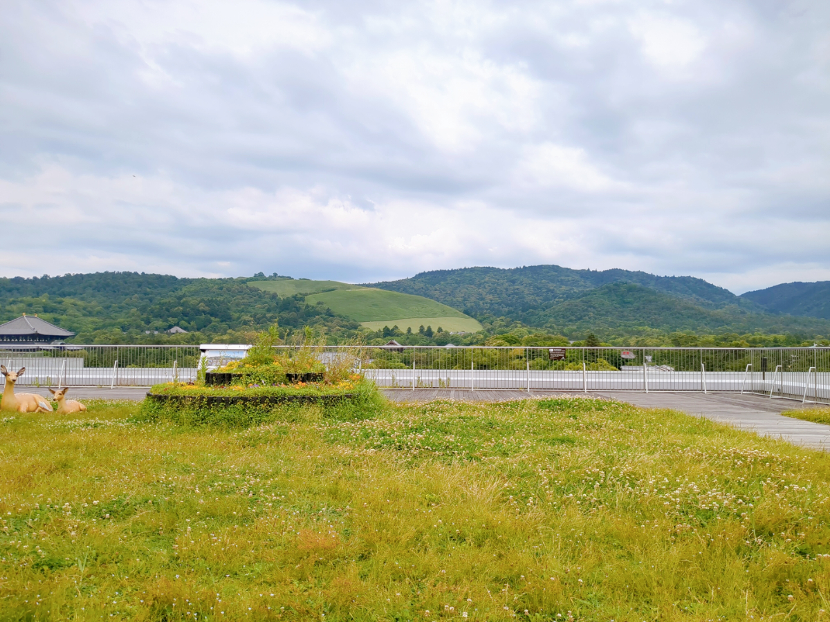 奈良県庁屋上からの景色