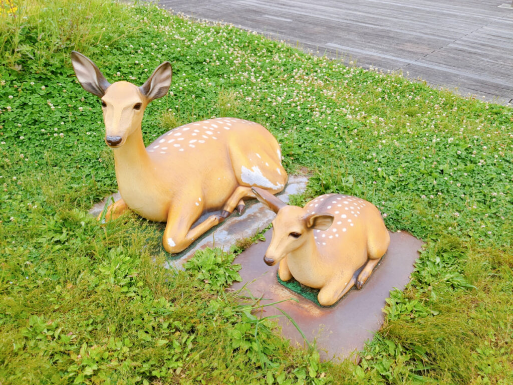 奈良県庁屋上の親子鹿