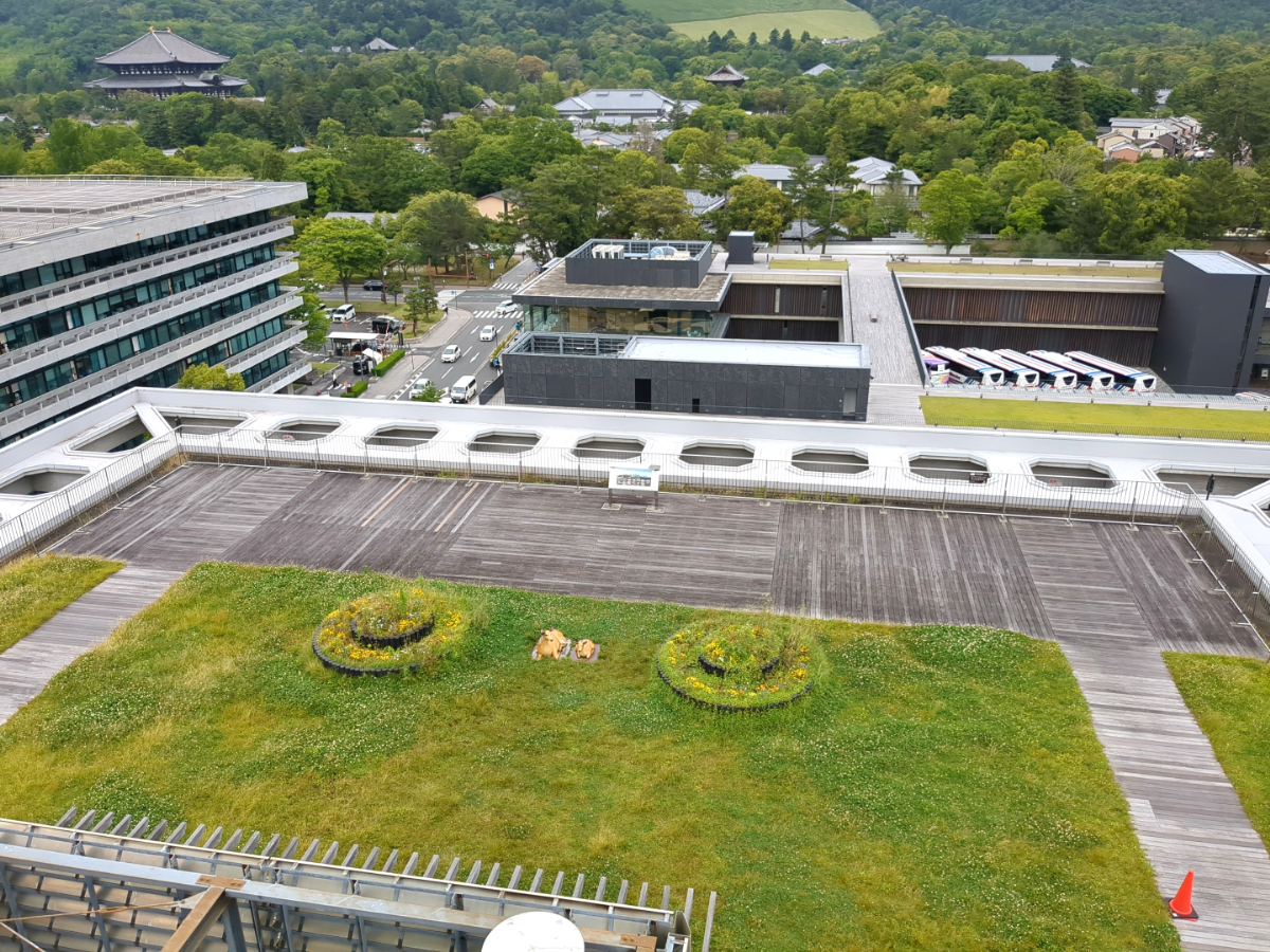 奈良県庁屋上からの景色