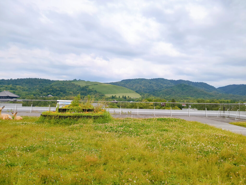 奈良県庁屋上からの景色